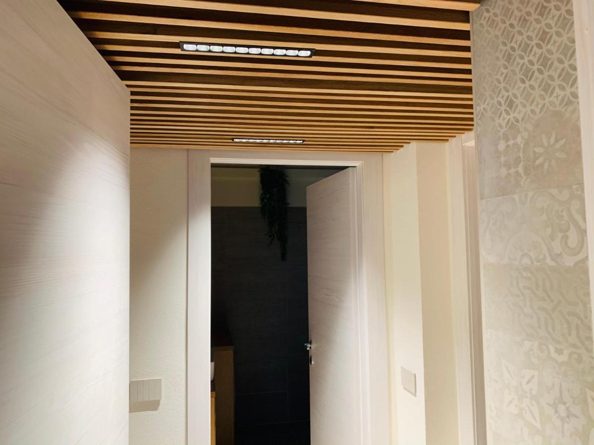 Charming Attic Apartment With Balcony & Swimming Pool 代森扎诺-德尔加达 外观 照片